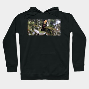 Horopito sapling Hoodie